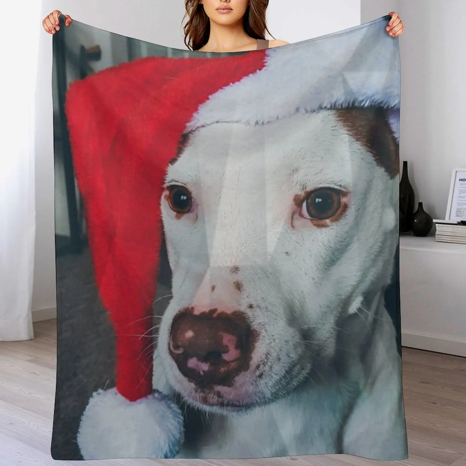 Pitbull Santa Hat Throw Blanke - Santa Hat Plush ulasan dan harga