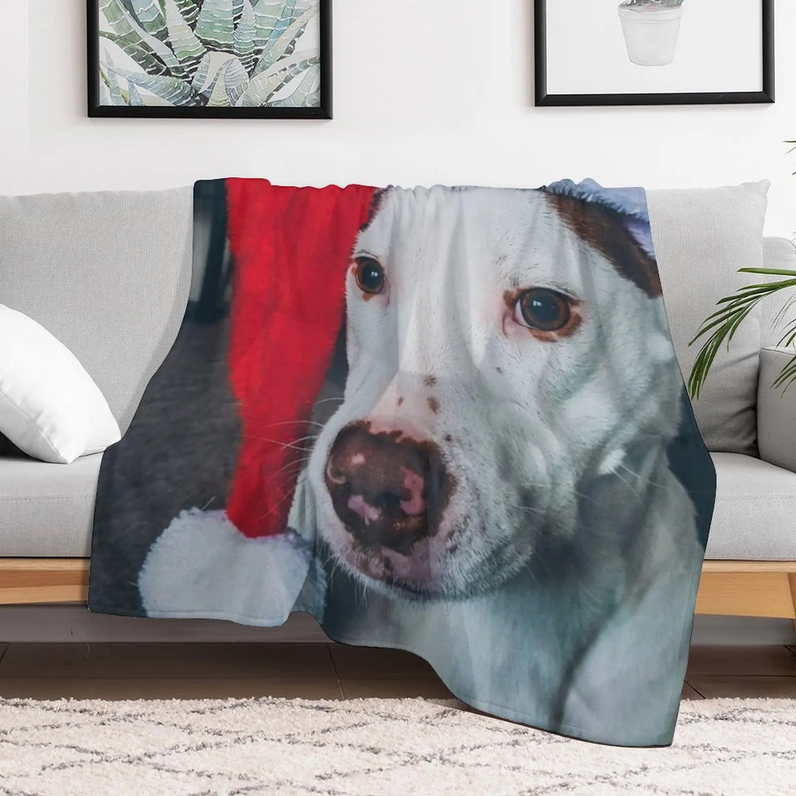 Pitbull Santa Hat Throw Blanke - Santa Hat Plush ulasan dan harga