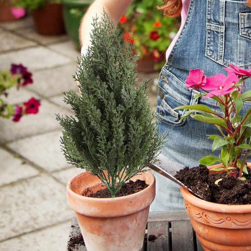 Artificial Plastic Pine Tree G - Christmas Tree Artificial ulasan dan harga